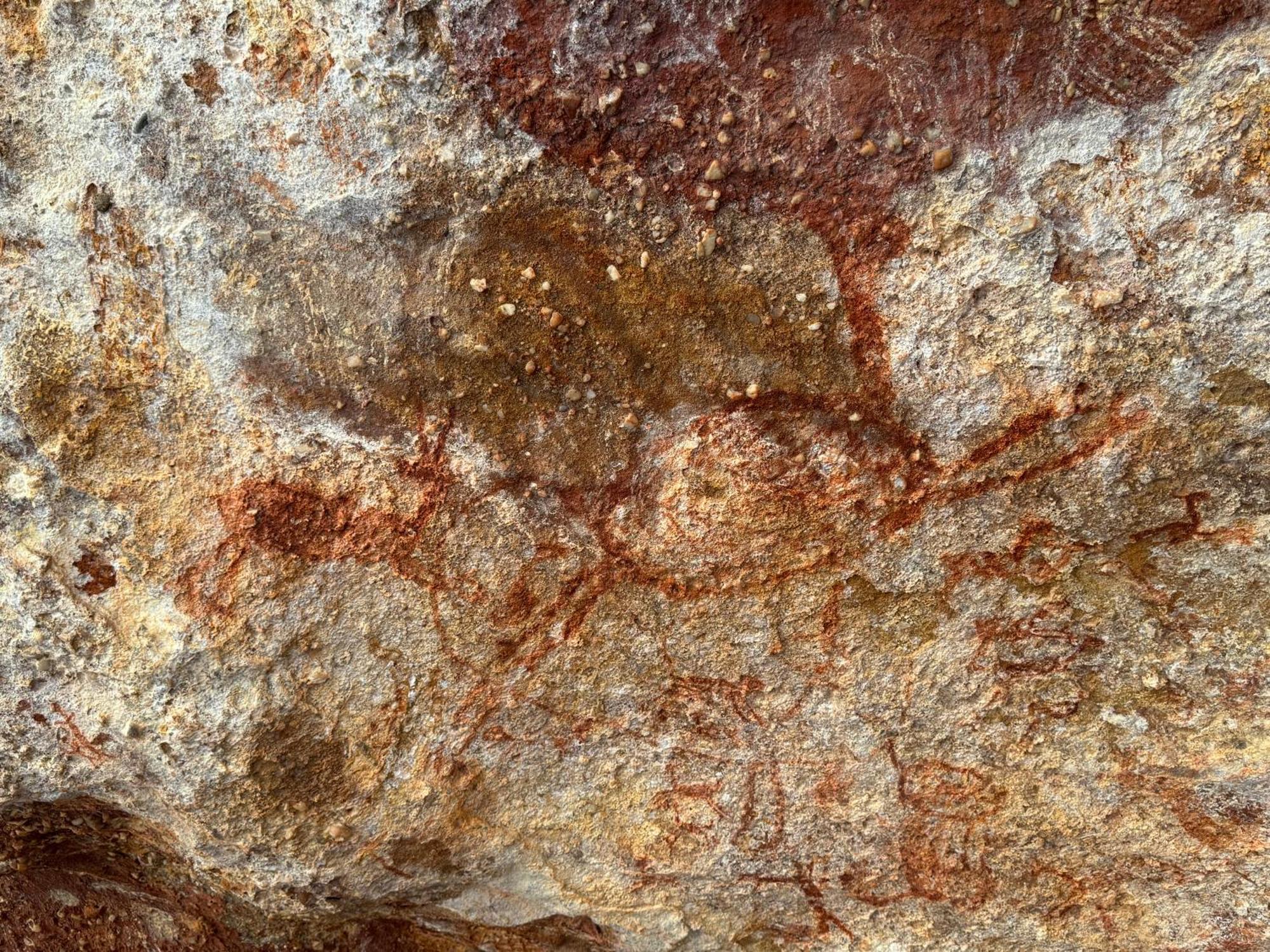 Casa Barreirinho Parque Nacional Serra Da Capivara Coronel Jose Dias Exteriér fotografie