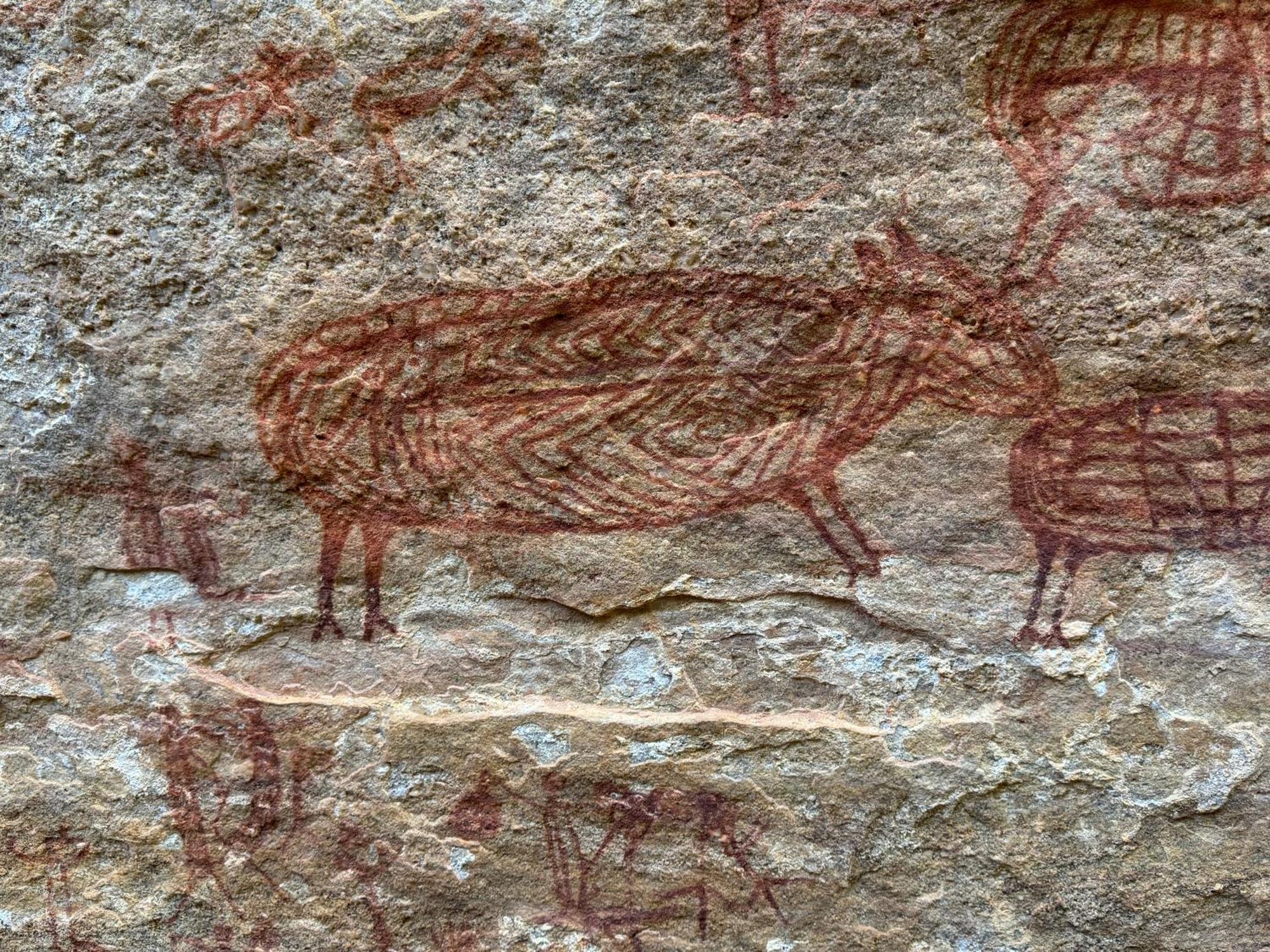 Casa Barreirinho Parque Nacional Serra Da Capivara Coronel Jose Dias Exteriér fotografie