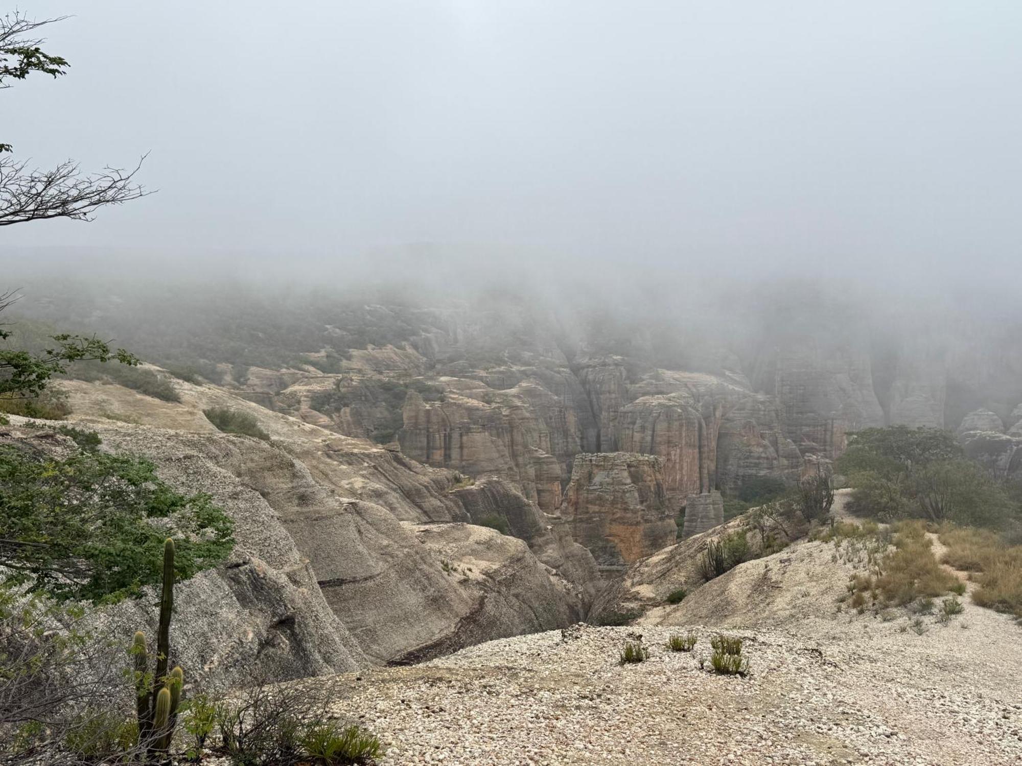 Casa Barreirinho Parque Nacional Serra Da Capivara Coronel Jose Dias Exteriér fotografie