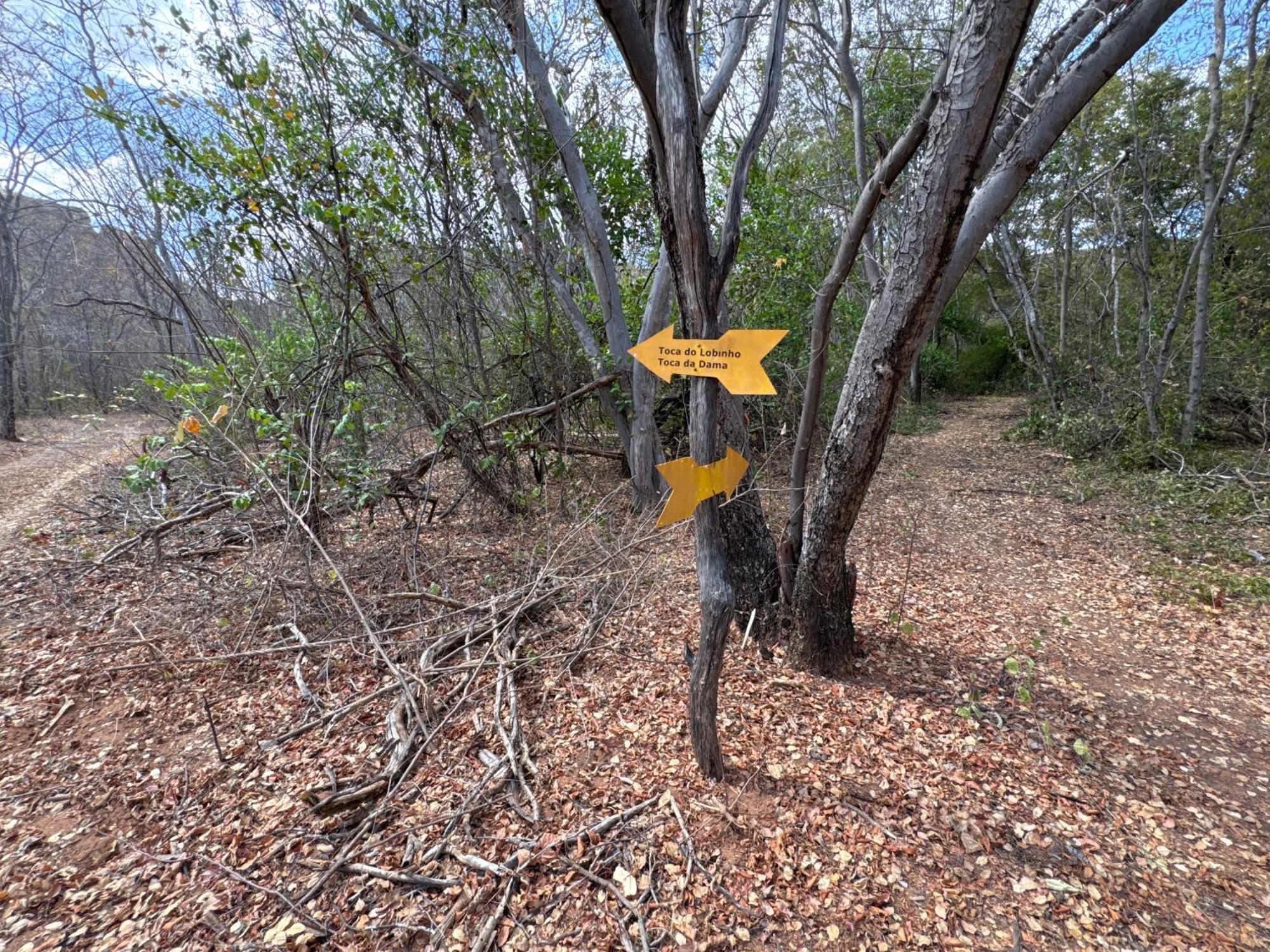 Casa Barreirinho Parque Nacional Serra Da Capivara Coronel Jose Dias Exteriér fotografie