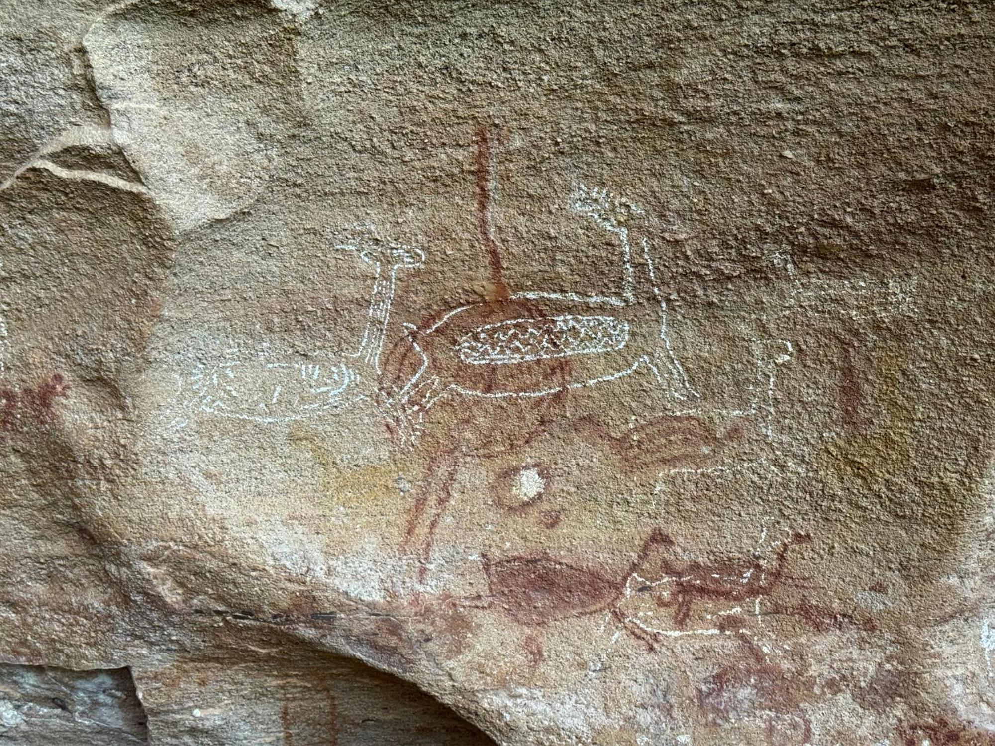 Casa Barreirinho Parque Nacional Serra Da Capivara Coronel Jose Dias Exteriér fotografie