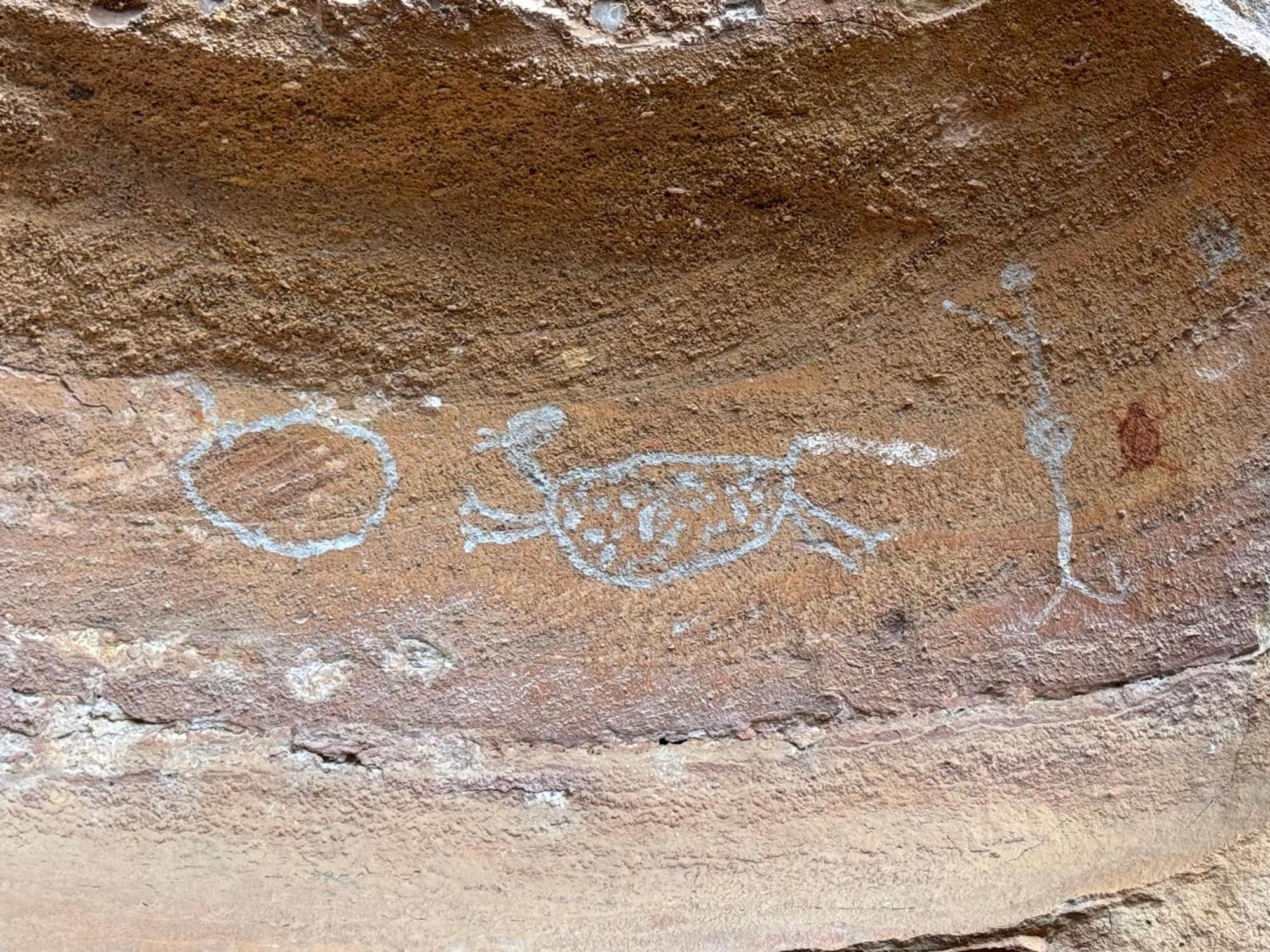 Casa Barreirinho Parque Nacional Serra Da Capivara Coronel Jose Dias Exteriér fotografie