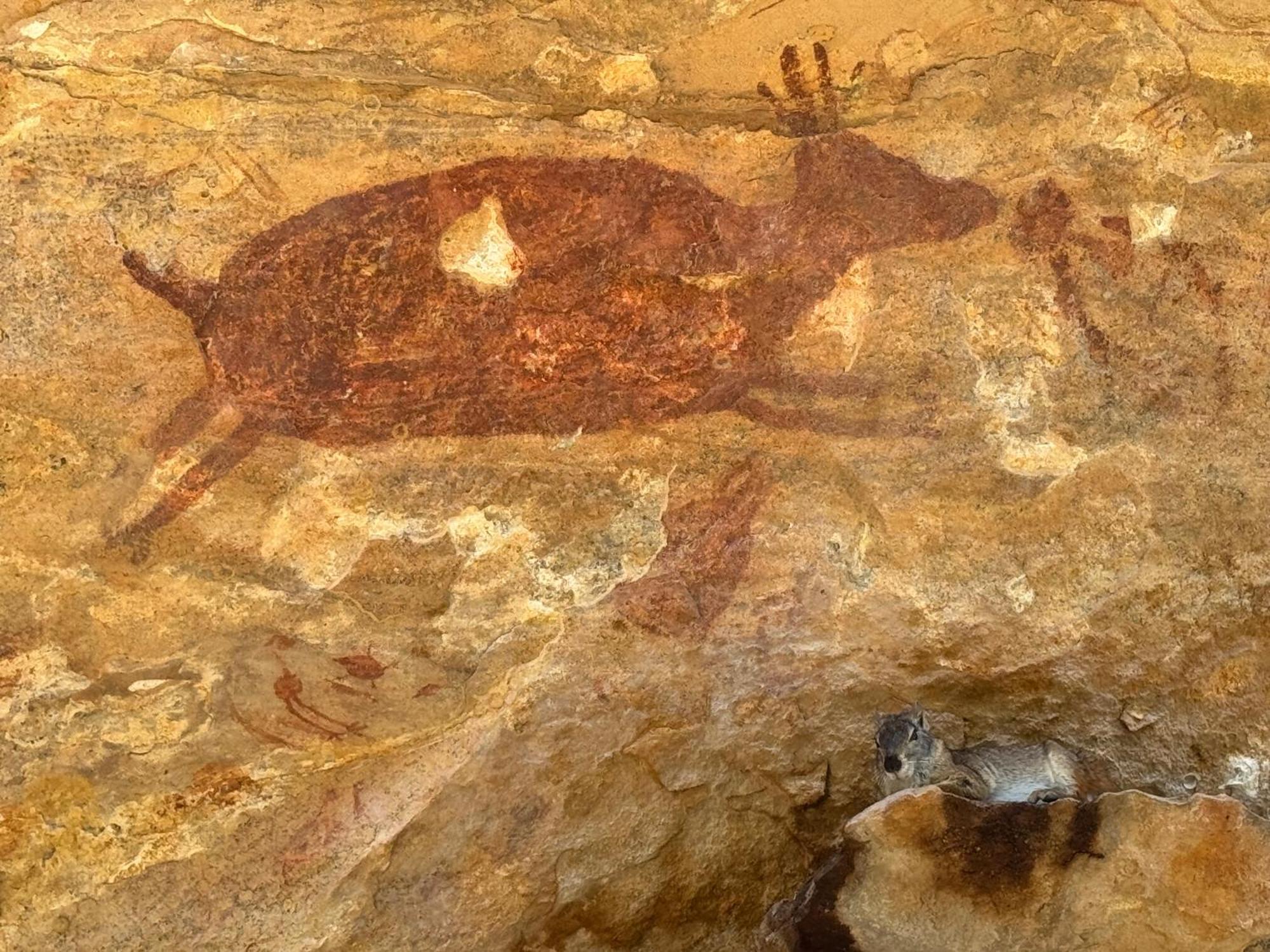 Casa Barreirinho Parque Nacional Serra Da Capivara Coronel Jose Dias Exteriér fotografie